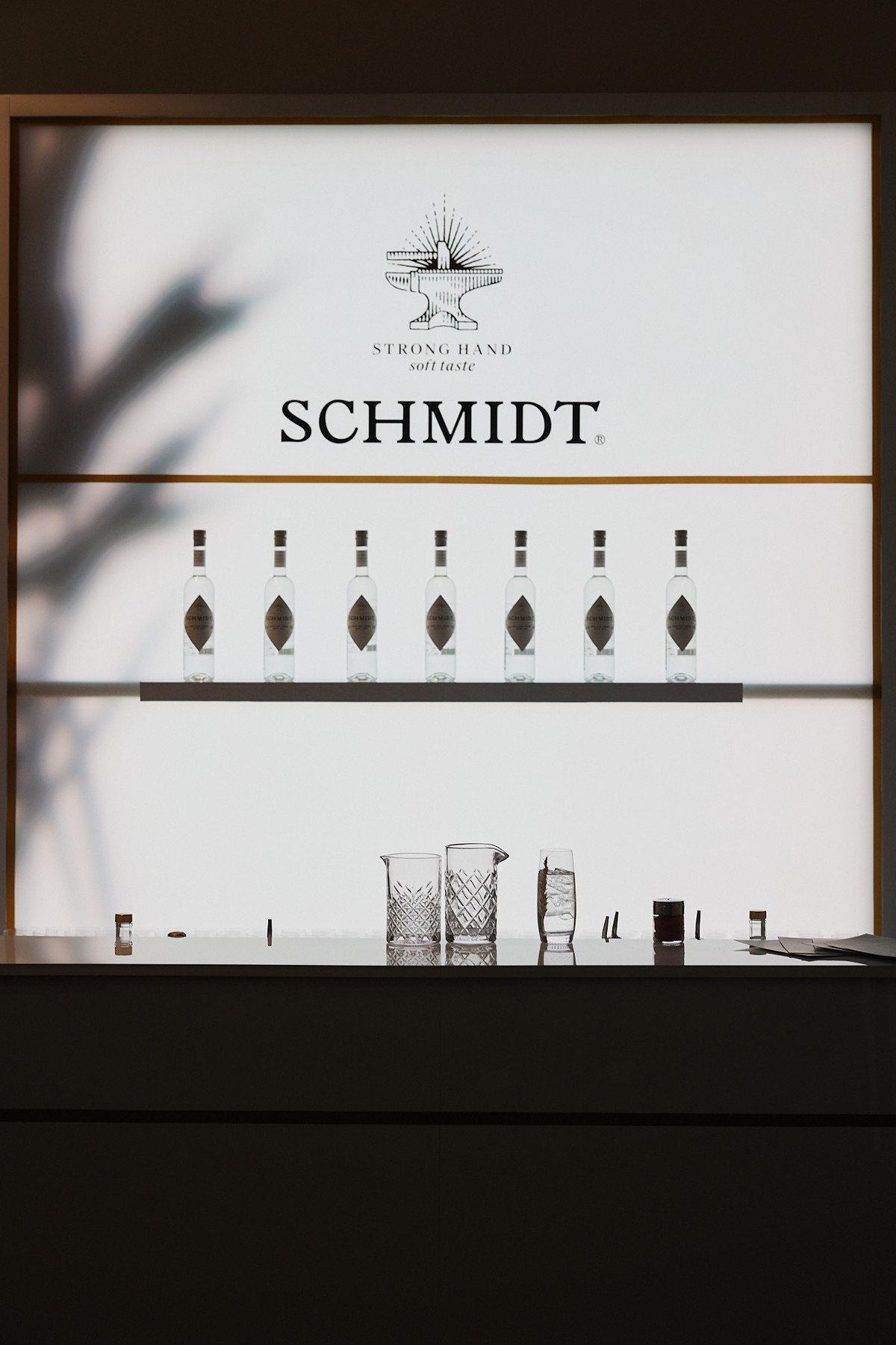 Schmidt «Давай на чистоту»